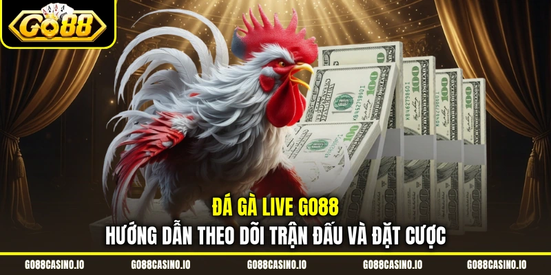 đá gà live